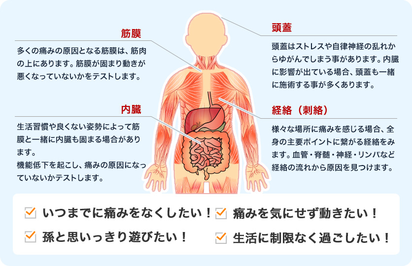 スクリーニングテストで、根本施術